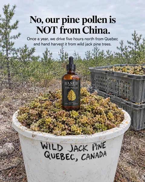 Based Supplements spec ad: Not from china